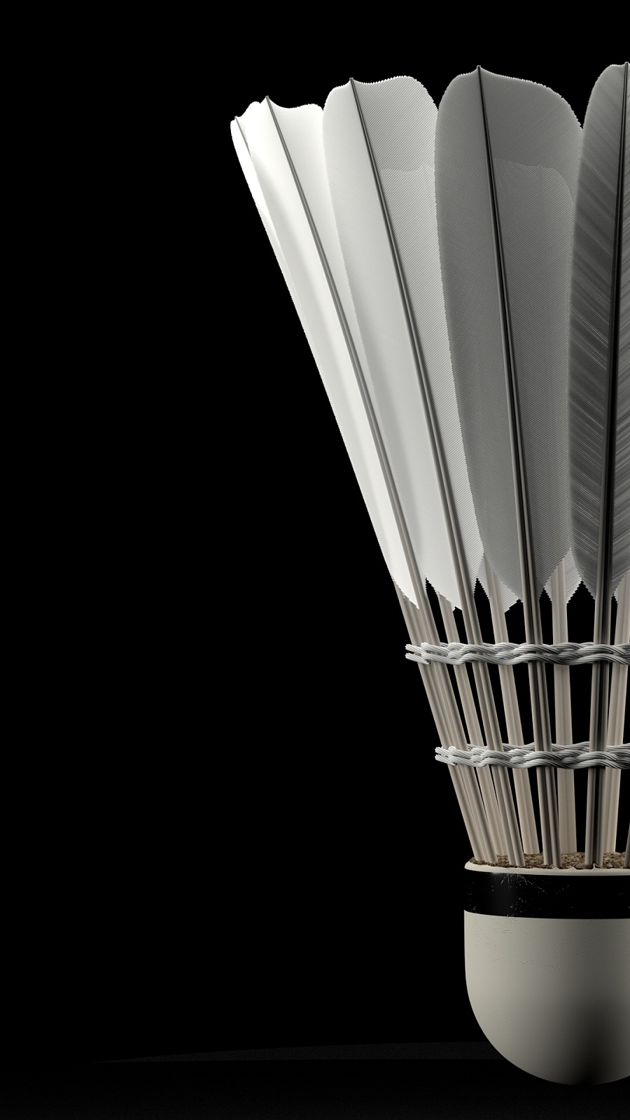 球竞争中的 球竞争中的